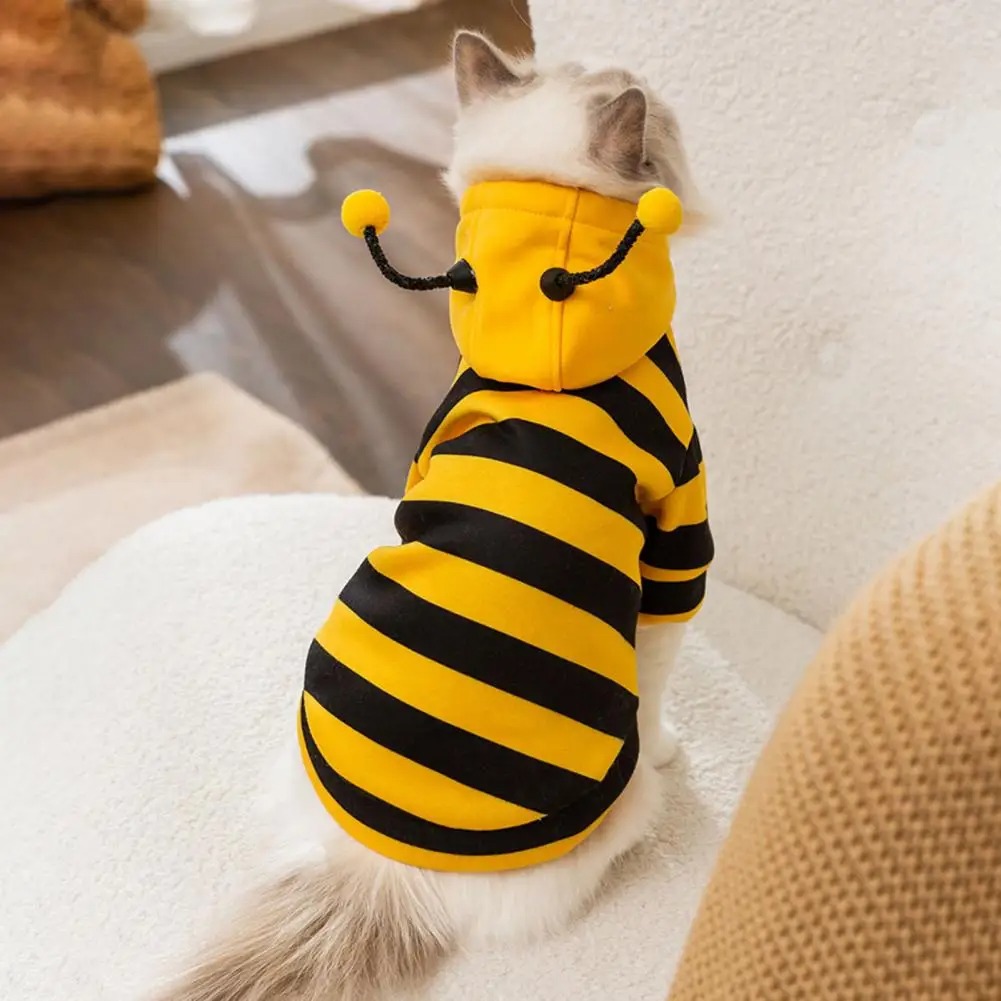 Winter Clothing For Dogs - Gatos de estimação roupas gatinho coisas