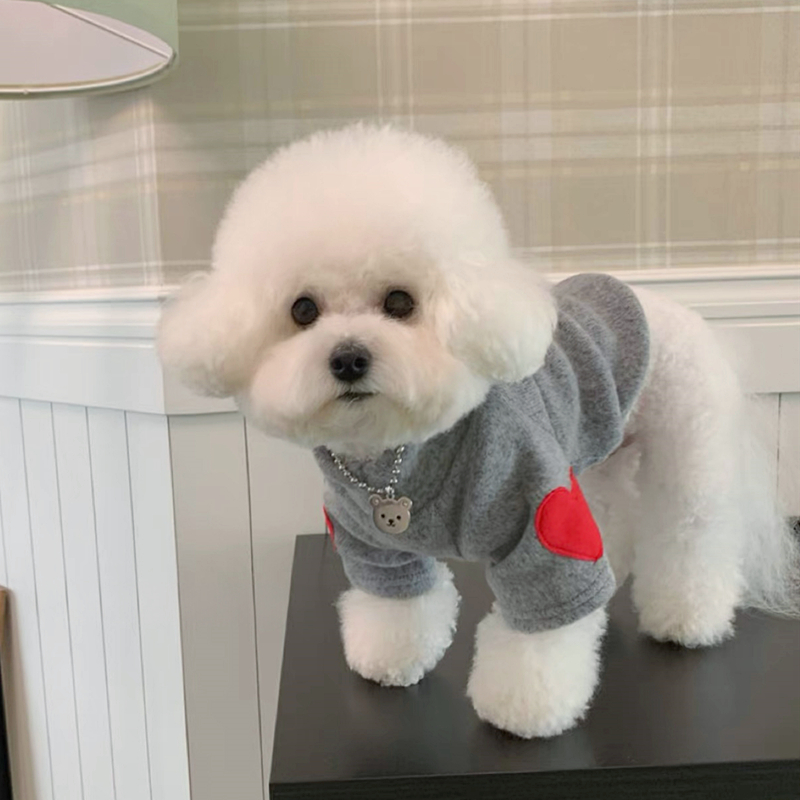 Winter Clothing For Dogs - Quente Pet Love Bottom Shirt, Teddy