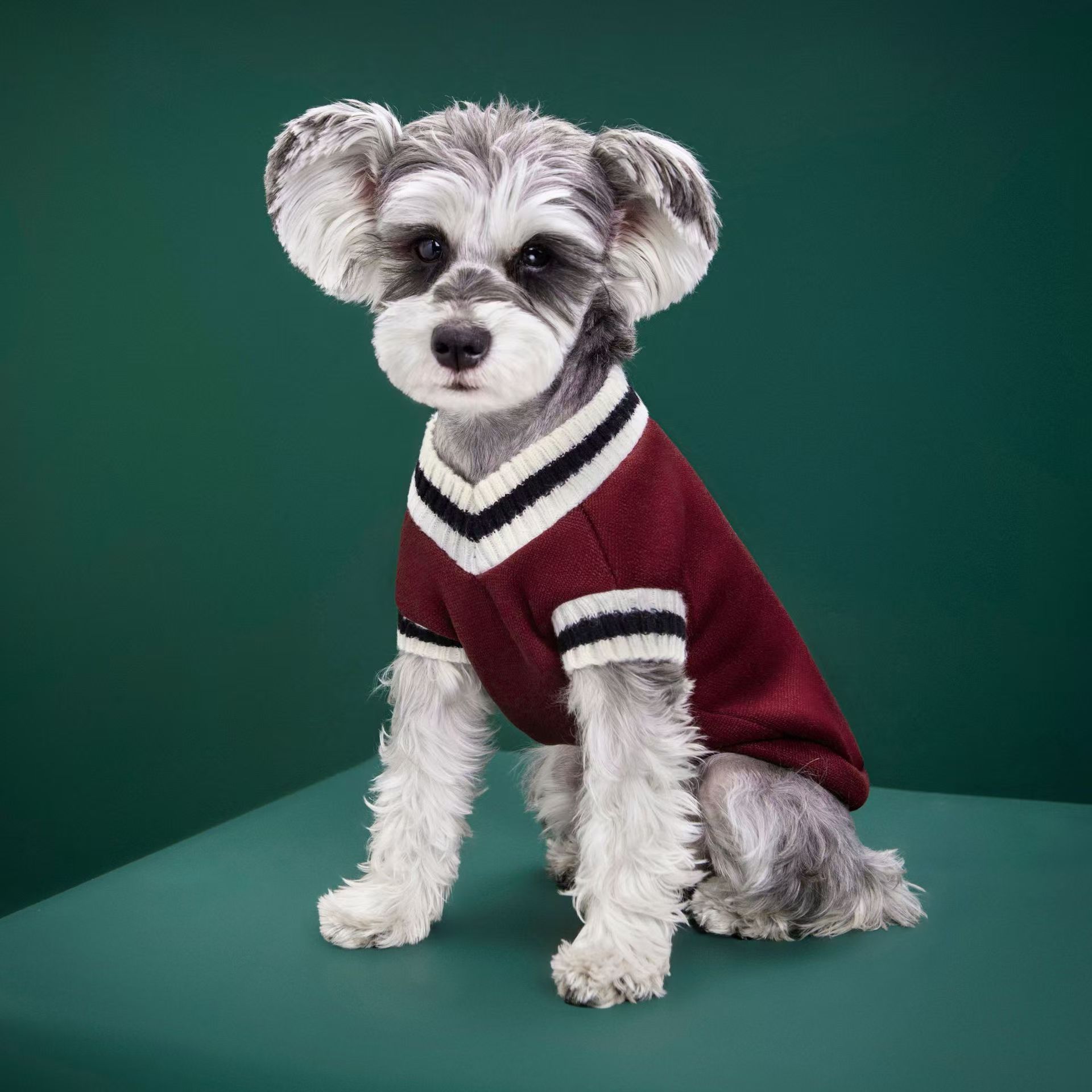 Winter Clothing Manufacturers - Fabricante de Roupas para Cães, Suéteres