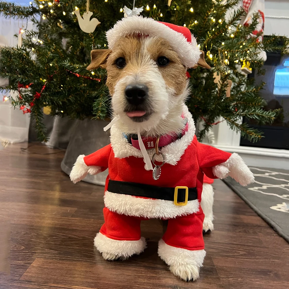 Winter Clothing Dress Up - Roupas de natal para cães gatos