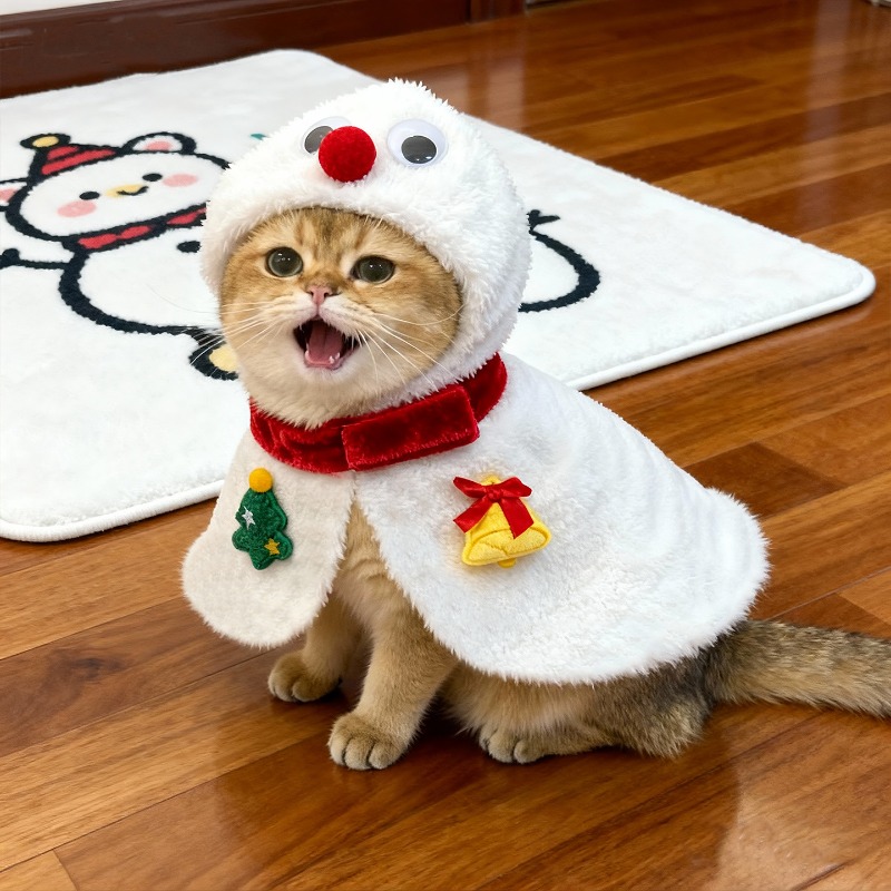 Winter Clothing Dress Up - Gato capa de natal inverno animal