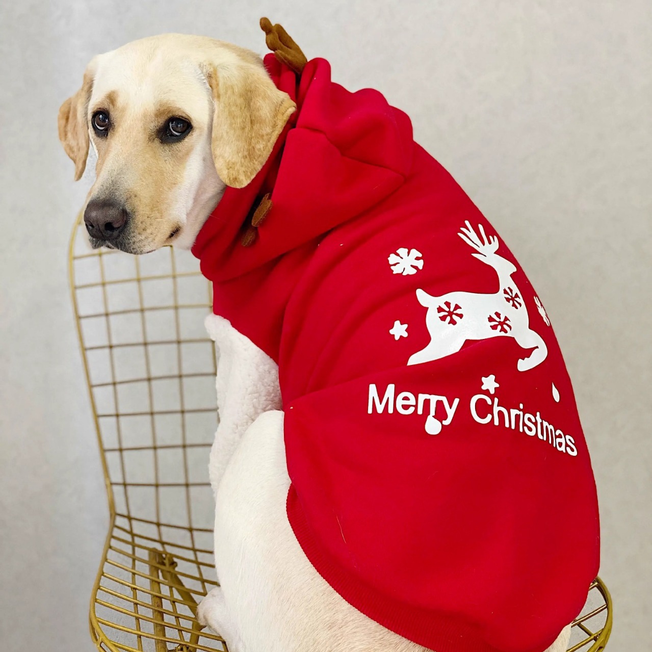 Fabricantes personalizados de  - Winter Clothing Manufacturers avaliação e preço