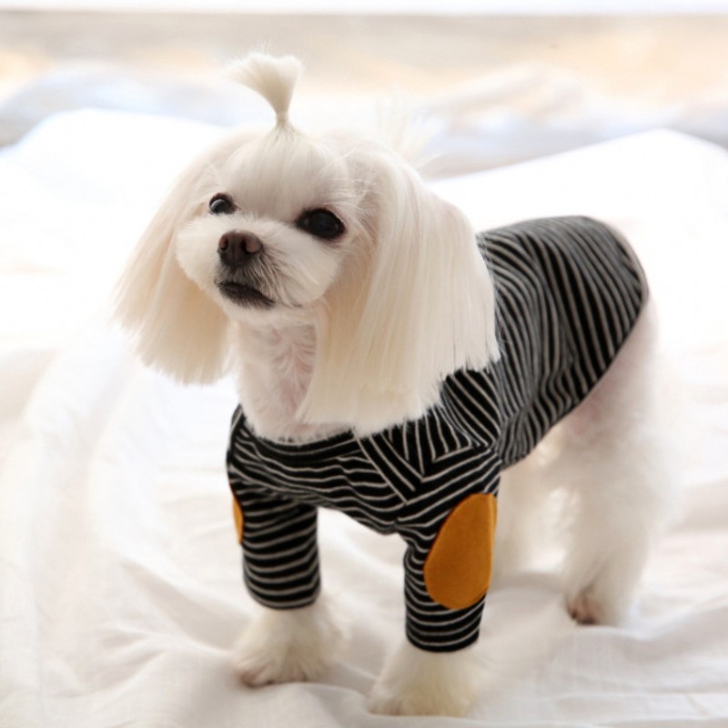 Cão de estimação fino hoodies  - Winter Clothing For Dogs avaliação e preço