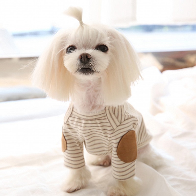 Cão de estimação fino hoodies  - Winter Clothing For Dogs avaliação e preço
