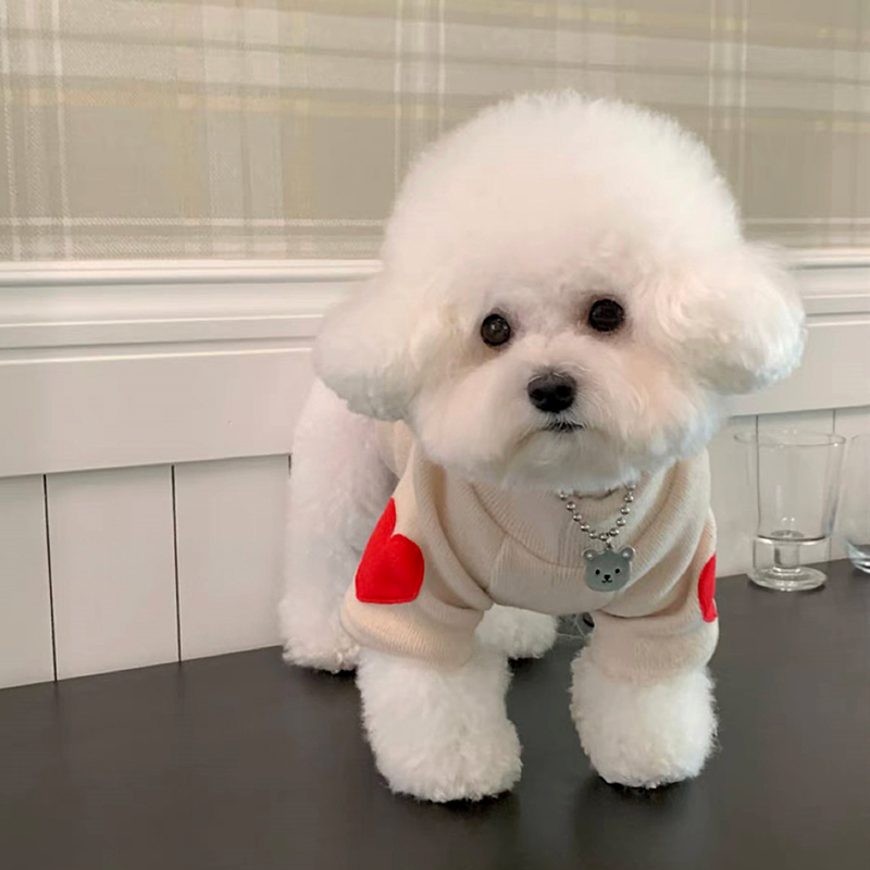 Quente Pet Love Bottom Shirt,  - Winter Clothing For Dogs avaliação e preço