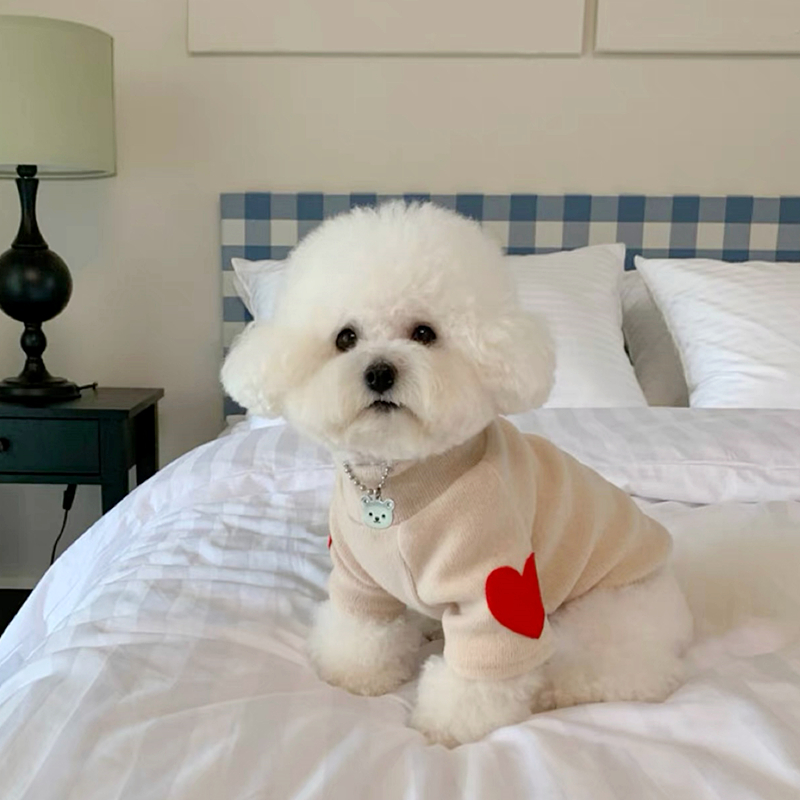 Quente Pet Love Bottom Shirt,  - Winter Clothing For Dogs avaliação e preço