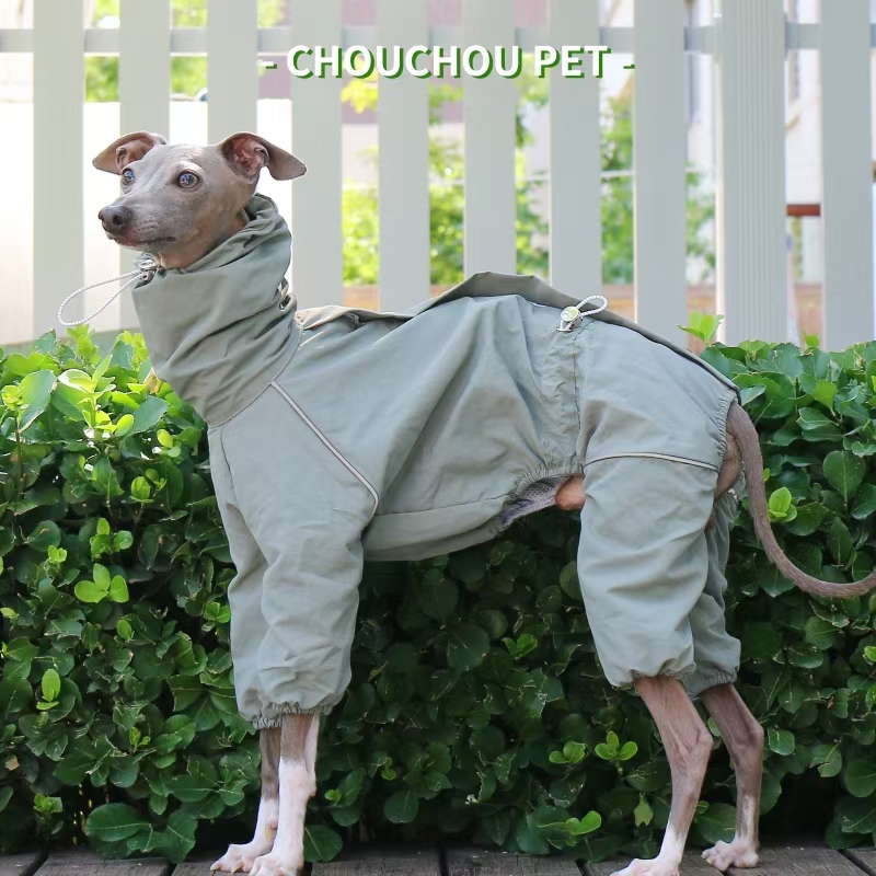 Capa de chuva galgo italiano o - Winter Clothing For Dogs avaliação e preço