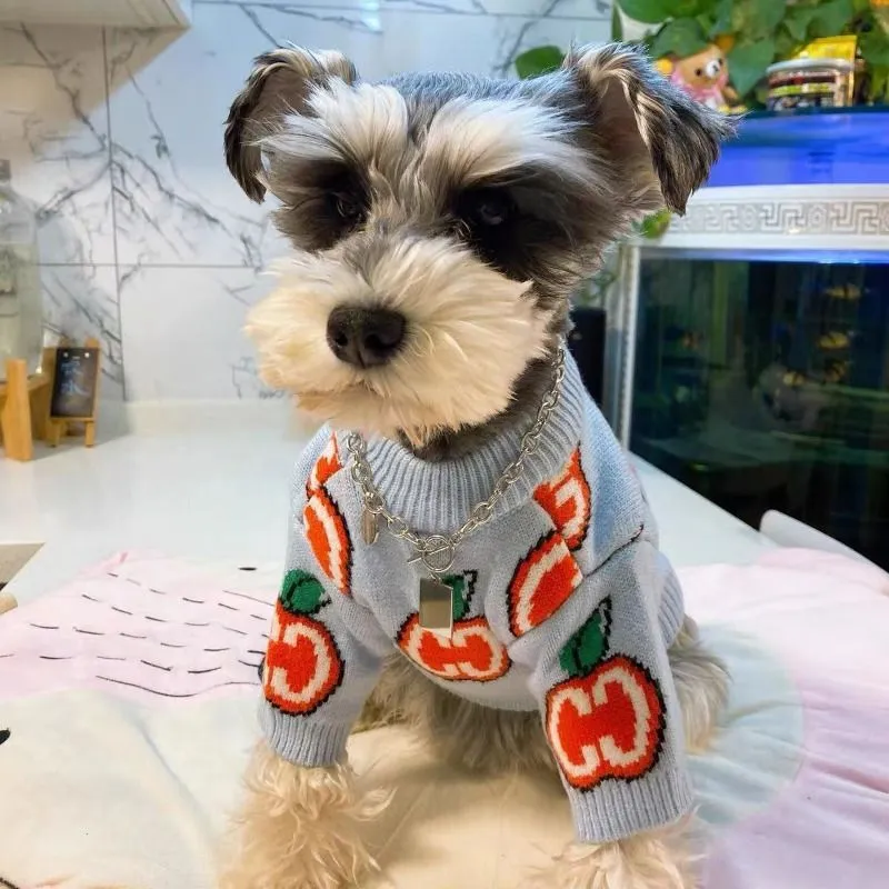 Carta camisola roupas para cãe - Winter Clothing For Boys avaliação e preço