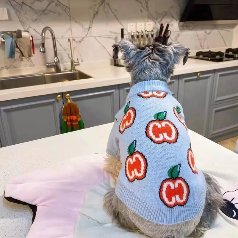 Carta camisola roupas para cãe - Winter Clothing For Boys avaliação e preço