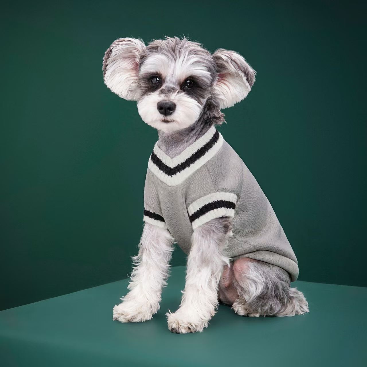 Fabricante de Roupas para Cães - Winter Clothing Manufacturers avaliação e preço