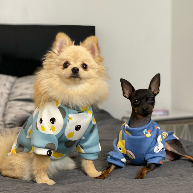 Xs roupas para cães pequenos,  - Winter Clothing For Boys avaliação e preço