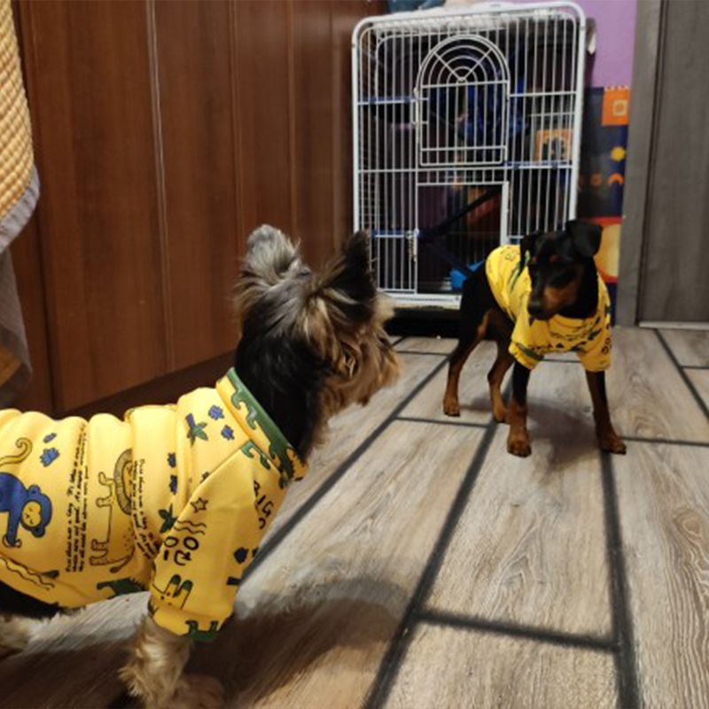 Xs roupas para cães pequenos,  - Winter Clothing For Boys avaliação e preço