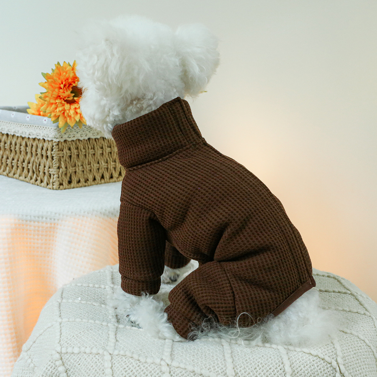 Pequenos trajes de animais par - Winter Clothing For Dogs avaliação e preço
