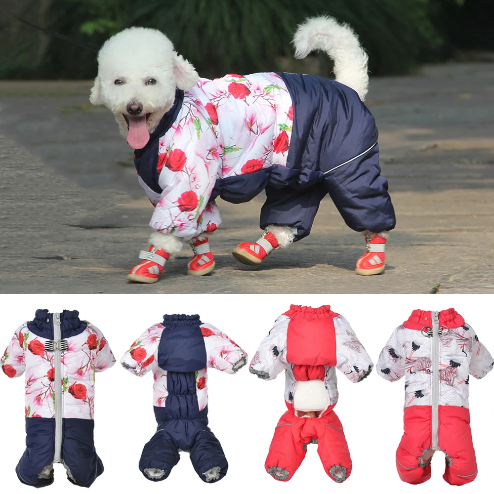 Roupas de Inverno para Animais - Winter Clothing For Boys avaliação e preço